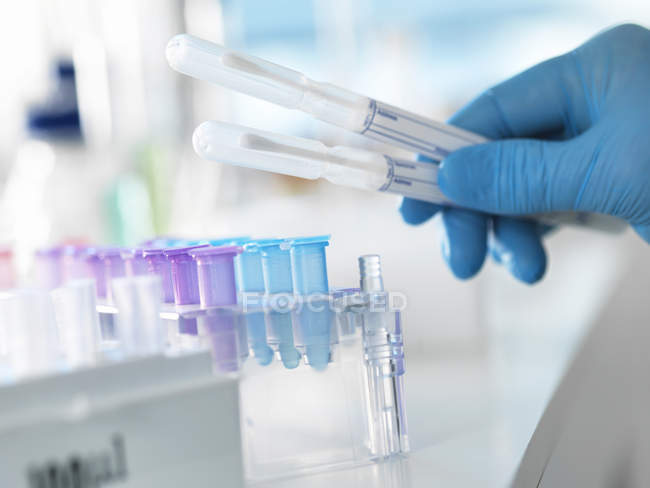 Wissenschaftler bereitet DNA- Abstrich für Analyse in einem Labor für forensische oder Vaterschaftstests vor — Stockfoto
