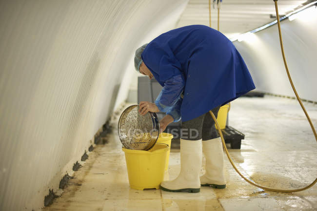 Жіноче працівника клінінгове обладнання в підземний тунель розплідник, Лондон, Великобританія — стокове фото