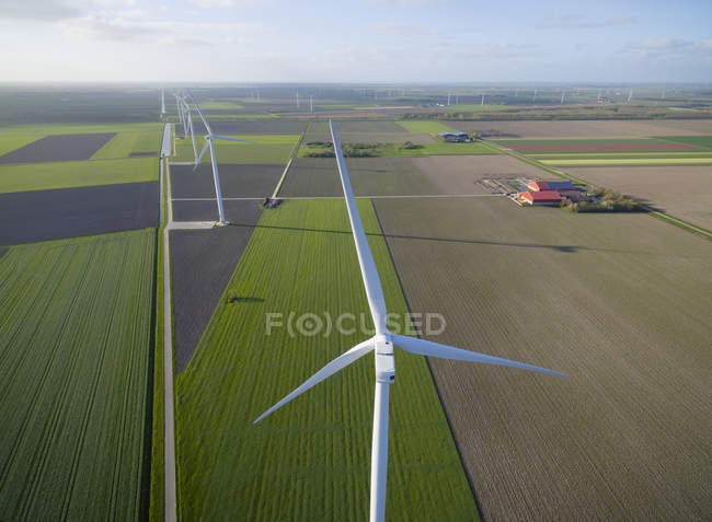 Ветряные турбины на сельскохозяйственных угодьях, Zeewolde, Flevoland, Нидерланды — стоковое фото