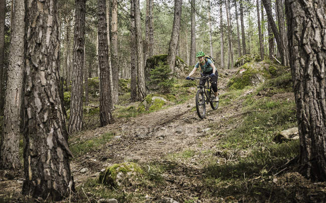 Woman mountain biking in forest, Bozen, South Tyrol, Italy — Stock Photo