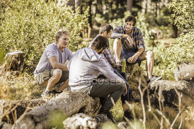 Quatre randonneurs assis à discuter dans la forêt, Deer Park, Cape Town, Afrique du Sud — Photo de stock