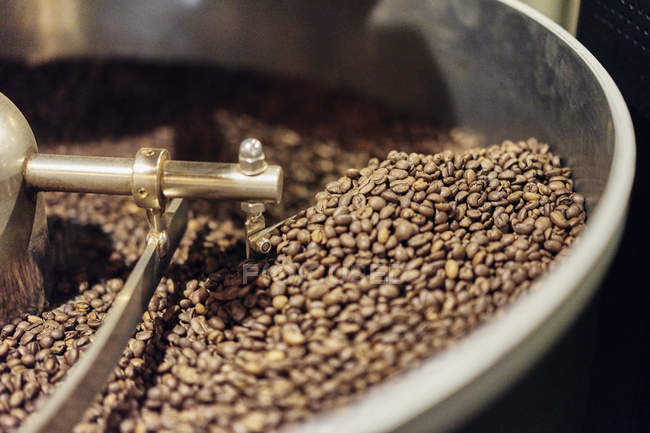 Primer plano de granos de café en tostadora tienda de café - foto de stock