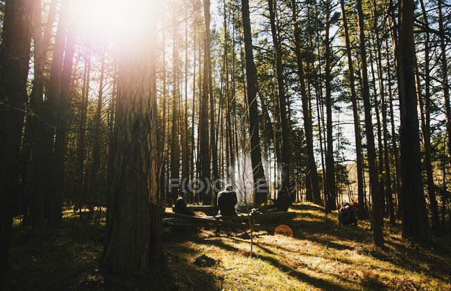 Amigos sentados en un árbol caído junto a una fogata en el bosque - foto de stock