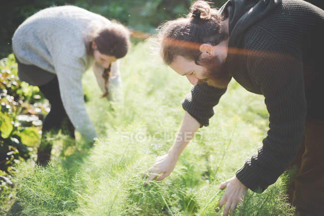 Side view of Young couple gardening — Stock Photo