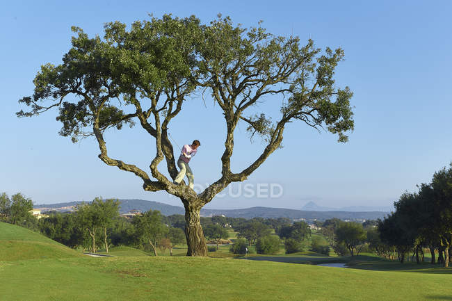 Golfista de pé na árvore se preparando para tomar balanço de golfe — Fotografia de Stock