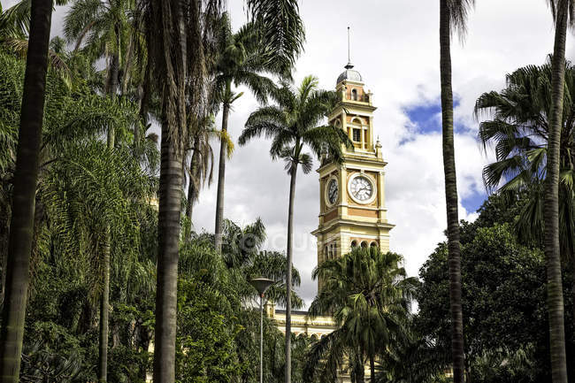 View of Luz railway station clock tower and palms, Sao Paulo, Brazil — Stock Photo