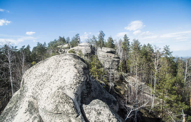 Elevated view of rock formation with pine forest and blue sky — Stock Photo