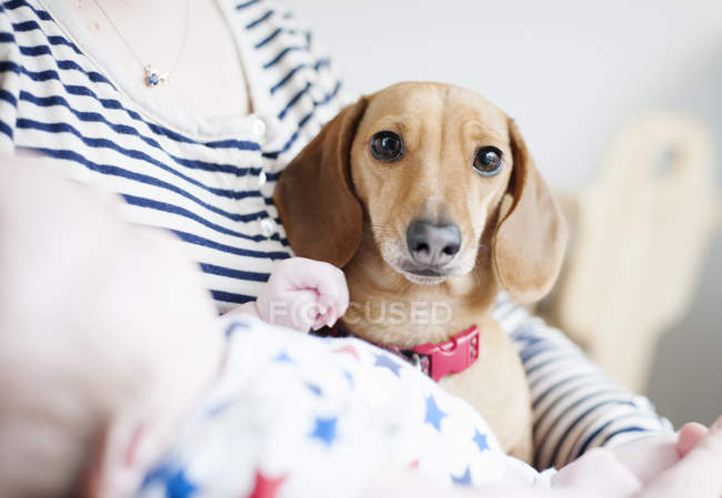 Woman holding baby and dog — Stock Photo