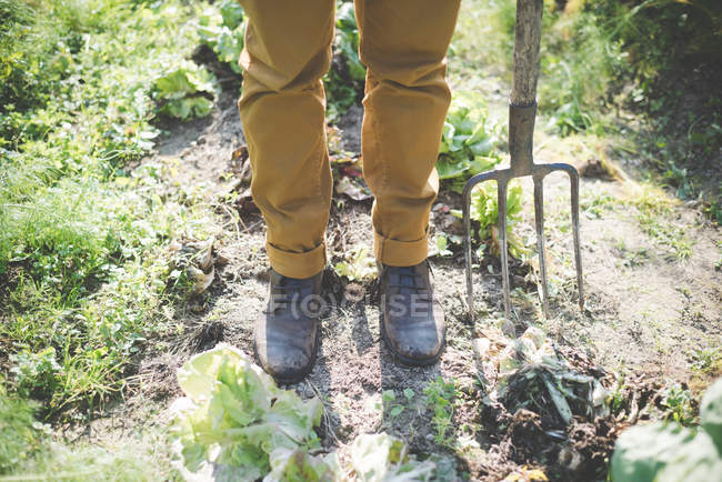 Man standing in garden with fork, low section — Stock Photo