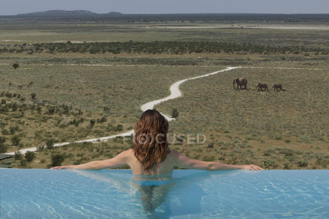 Mujer observando elefantes desde la piscina infinita en el campamento Dolomite, Parque Nacional Etosha, Namibia - foto de stock