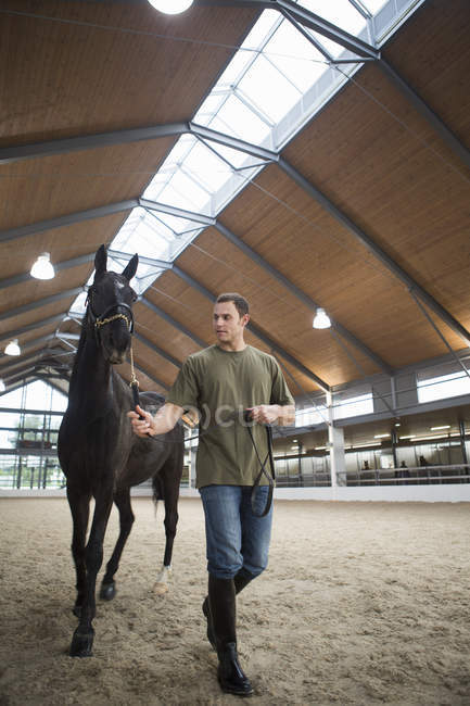 Male stablehand leading horse in indoor paddock — Stock Photo