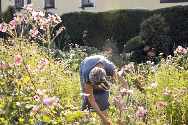 Mature woman gardening, bending over — Stock Photo