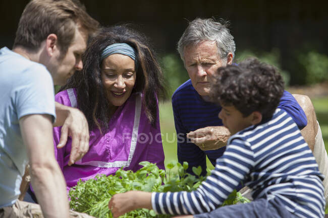Familia de tres generaciones en el jardín - foto de stock
