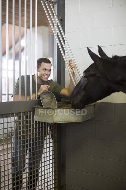 Самец конюха кормит лошадь через дверной проем в конюшне — стоковое фото