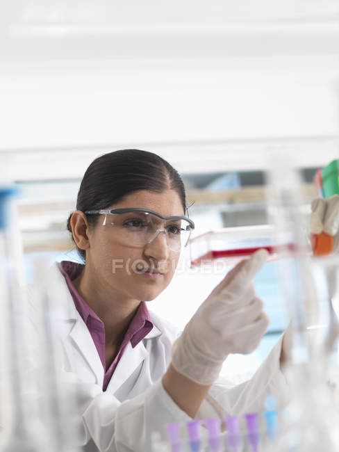 Женщина-биолог в лаборатории, держит фляжку со стволовыми клетками — стоковое фото