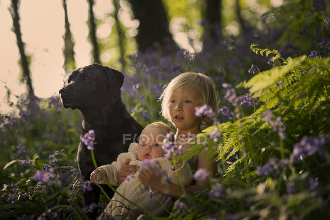 Kleiner Junge sitzt mit kleiner Schwester und Hund im Blauglockenwald — Stockfoto