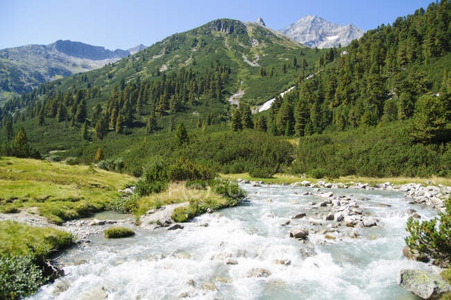Collina coperta di verde lussureggiante e fiume che scorre — Foto stock