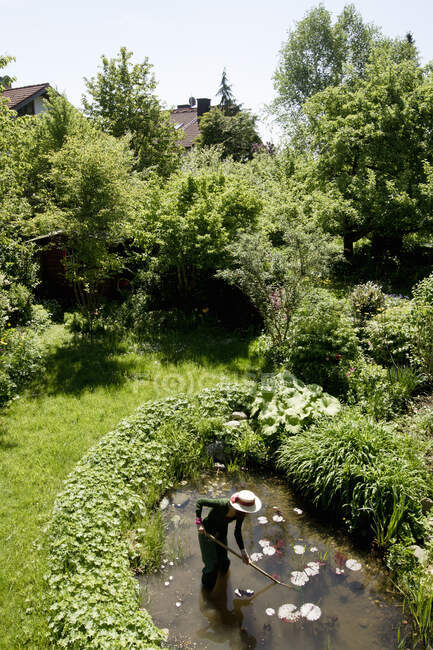 Високий кут зору зрілої жінки в саду прибирання ставка — стокове фото