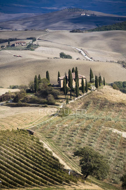 Vista panoramica sull'agriturismo nel paesaggio agricolo, Siena, Valle D'Orcia, Toscana, Italia — Foto stock