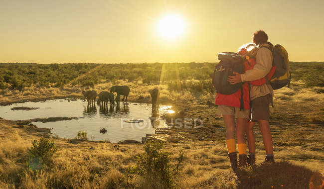 Пара спостерігає за слонами, які поливають отвір на заході сонця в національному парку Етоша (Намібія). — стокове фото