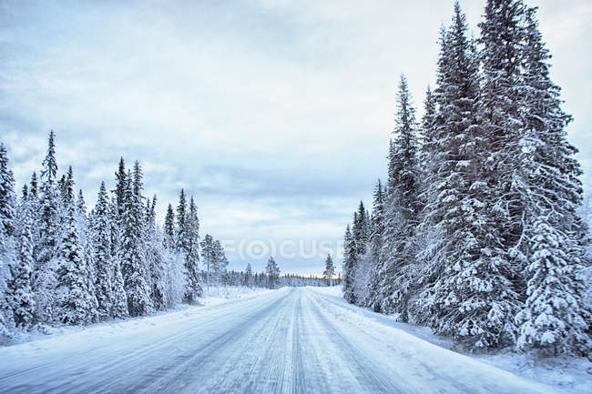 Vista da estrada coberta de neve vazia, Hemavan, Suécia — Fotografia de Stock