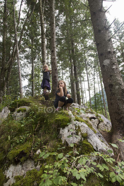 Dos hermanas en formación rocosa en el bosque, Hintersee, Zauberwald, Baviera, Alemania - foto de stock