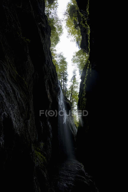 Низький кут зору ущелиною ущелини, Баварія, Німеччина — стокове фото