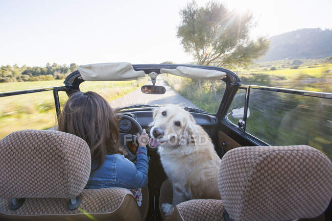 Mature woman and dog, in convertible car, rear view — Stock Photo