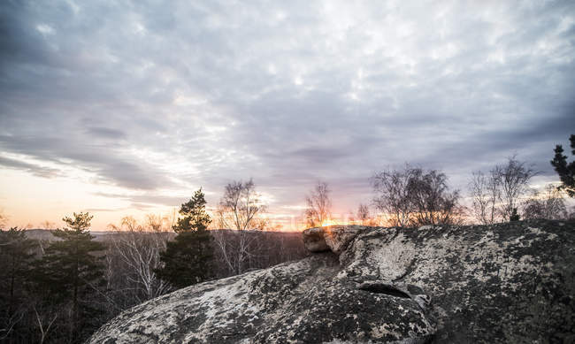 Вид на скельні утворення та вершини дерев під час заходу сонця — стокове фото
