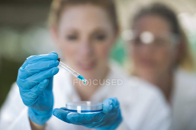 Жінки-науковці, які тримають страву Петрі та піпету з блакитною рідиною — стокове фото