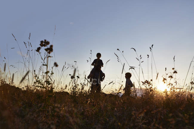 Silhuetas de pai e filhos que caminham no campo — Fotografia de Stock