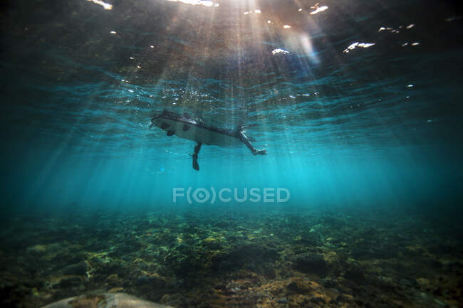 Vue sous-marine du surfeur qui attend sur un récif peu profond pour une vague à Bali, Indonésie — Photo de stock