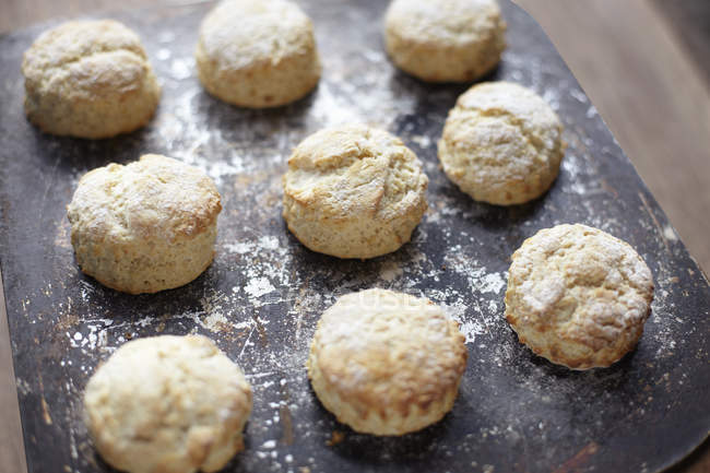 Freshly baked scones on baking tray — Stock Photo