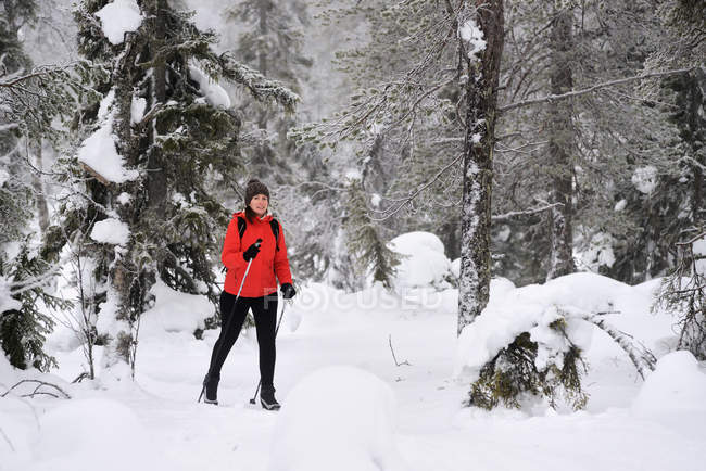 Giovane donna nordic walking attraverso la foresta innevata, Posio, Lapponia, Finlandia — Foto stock