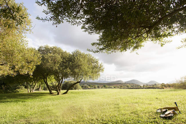 Child bicycle left in field, Calvi, Corsica, France — Stock Photo