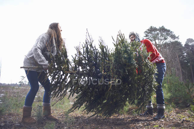 Giovane uomo sollevamento albero di Natale nel bosco — Foto stock