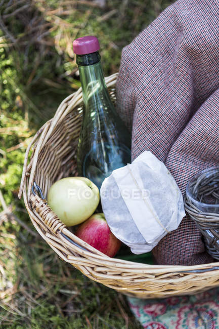 Cestino da picnic con mele e bottiglia d'acqua — Foto stock