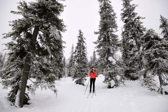 Junge Frau beim Skifahren in verschneiten Wäldern, posio, Lappland, Finnland — Stockfoto