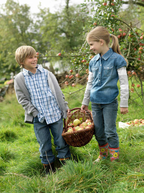 Ragazza e ragazzo tenendo cesto di mele — Foto stock