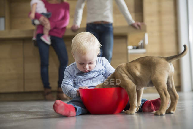 Male toddler watching puppy feeding from bowl in dining room — Stock Photo
