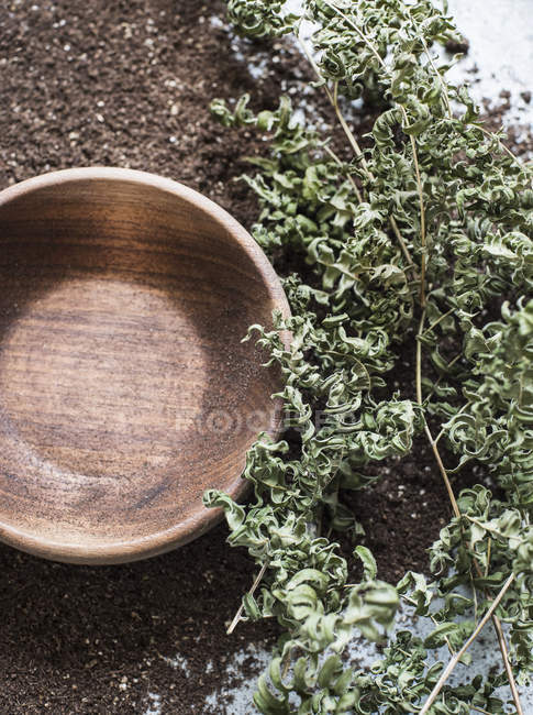 Composition of wooden bowl, earth and dry ferns, top view — Stock Photo