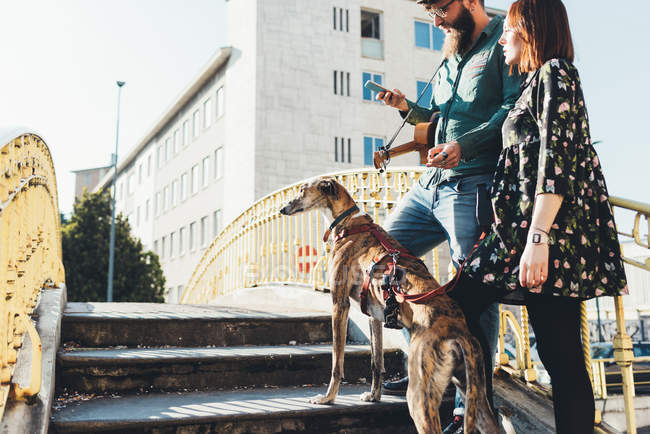 Cooles Paar mit Hund auf Fußgängerbrücke schaut aufs Smartphone — Stockfoto