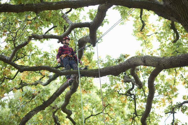 Trainee adolescente cirurgião árvore masculino em pé no ramo da árvore — Fotografia de Stock