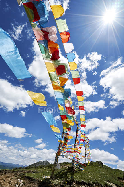 Filas de coloridas banderas de oración contra el cielo azul, Zhagana, Gansu, China - foto de stock