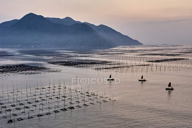 Barcos y palos de pesca tradicionales, Xiapu, Fujian, China - foto de stock
