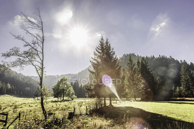 Bella valle illuminata dal sole e foresta in Baviera, Germania — Foto stock