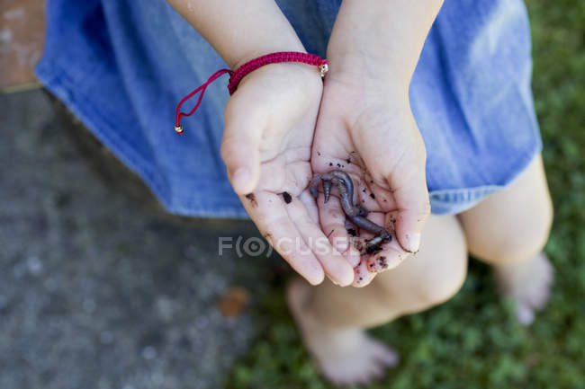 Verme terrestre nas palmas das mãos de chávena — Fotografia de Stock