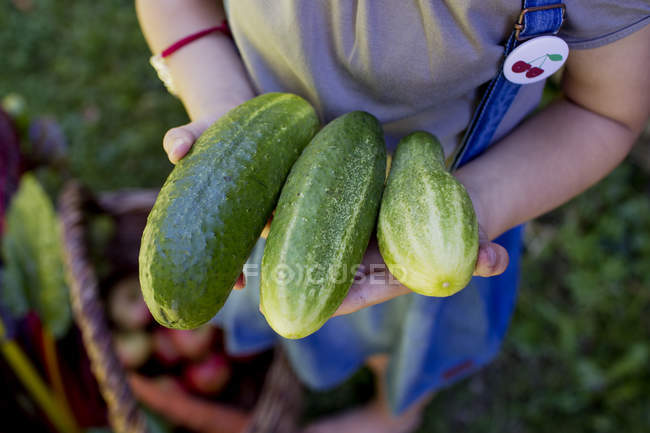 Child holding some cucumbers — Stock Photo