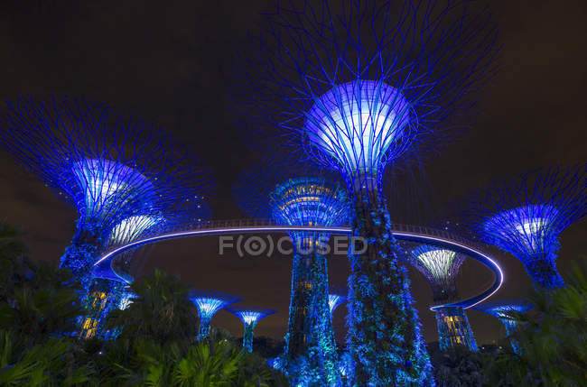 Blue Supertree Grove ночью, Сингапур, Юго-Восточная Азия — стоковое фото
