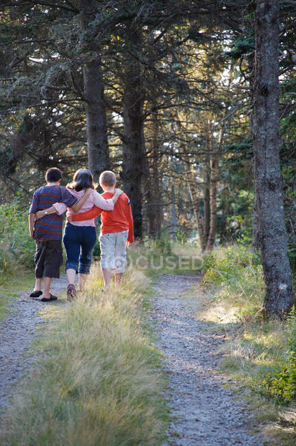 Mamá caminando con hijos en el bosque - foto de stock